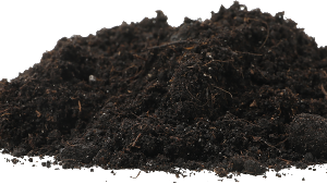 Soil